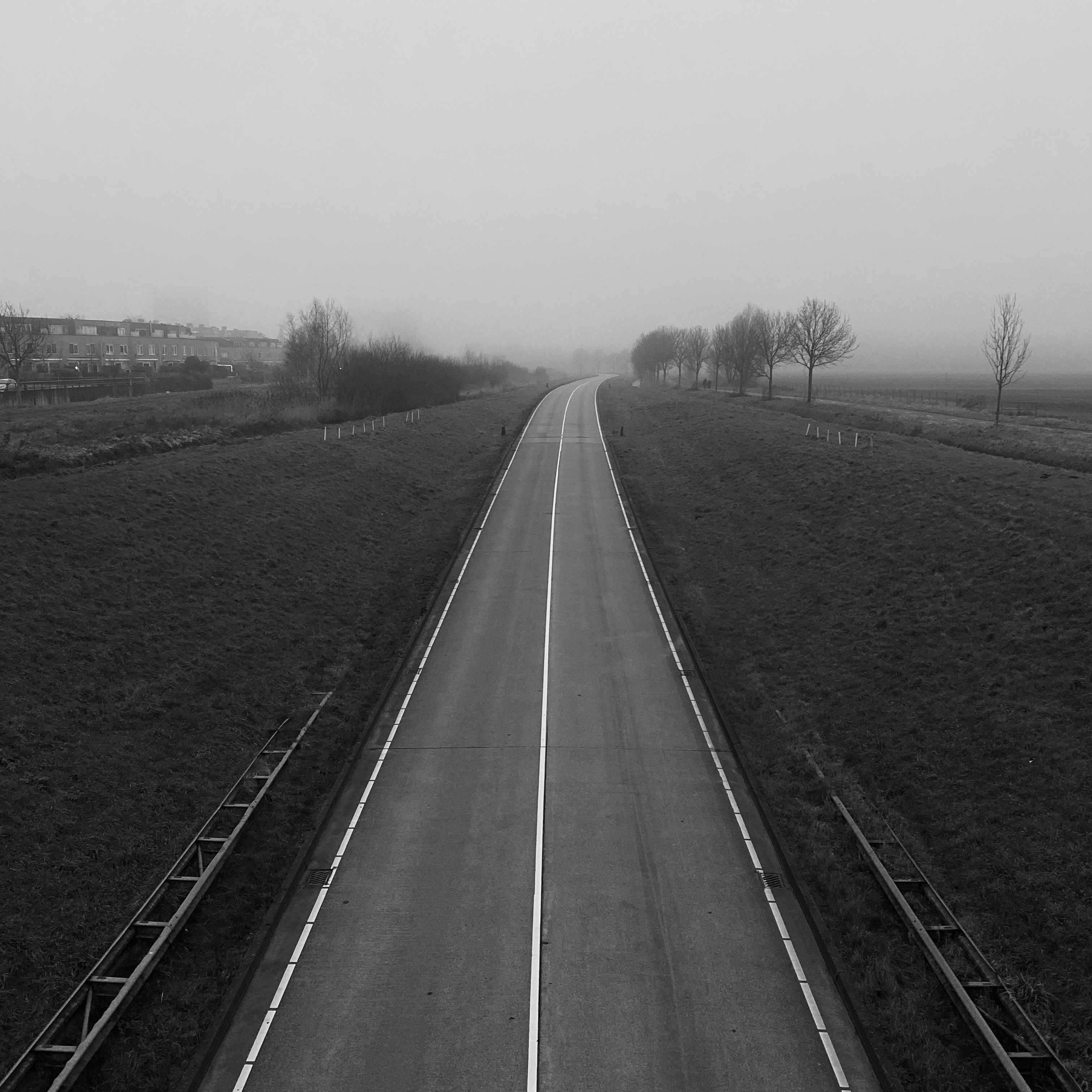 foggy Meerwijkplas landscape