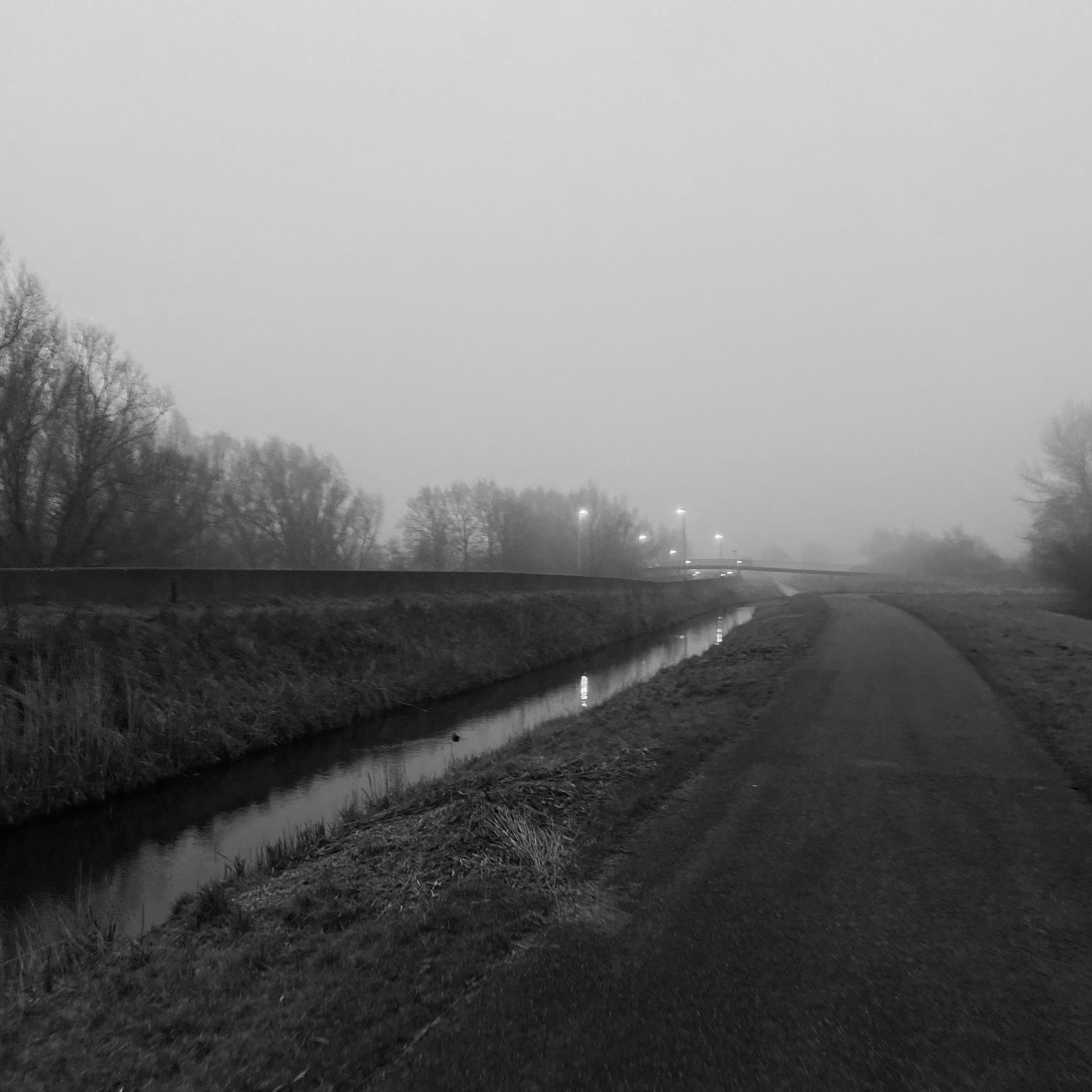 foggy Meerwijkplas landscape