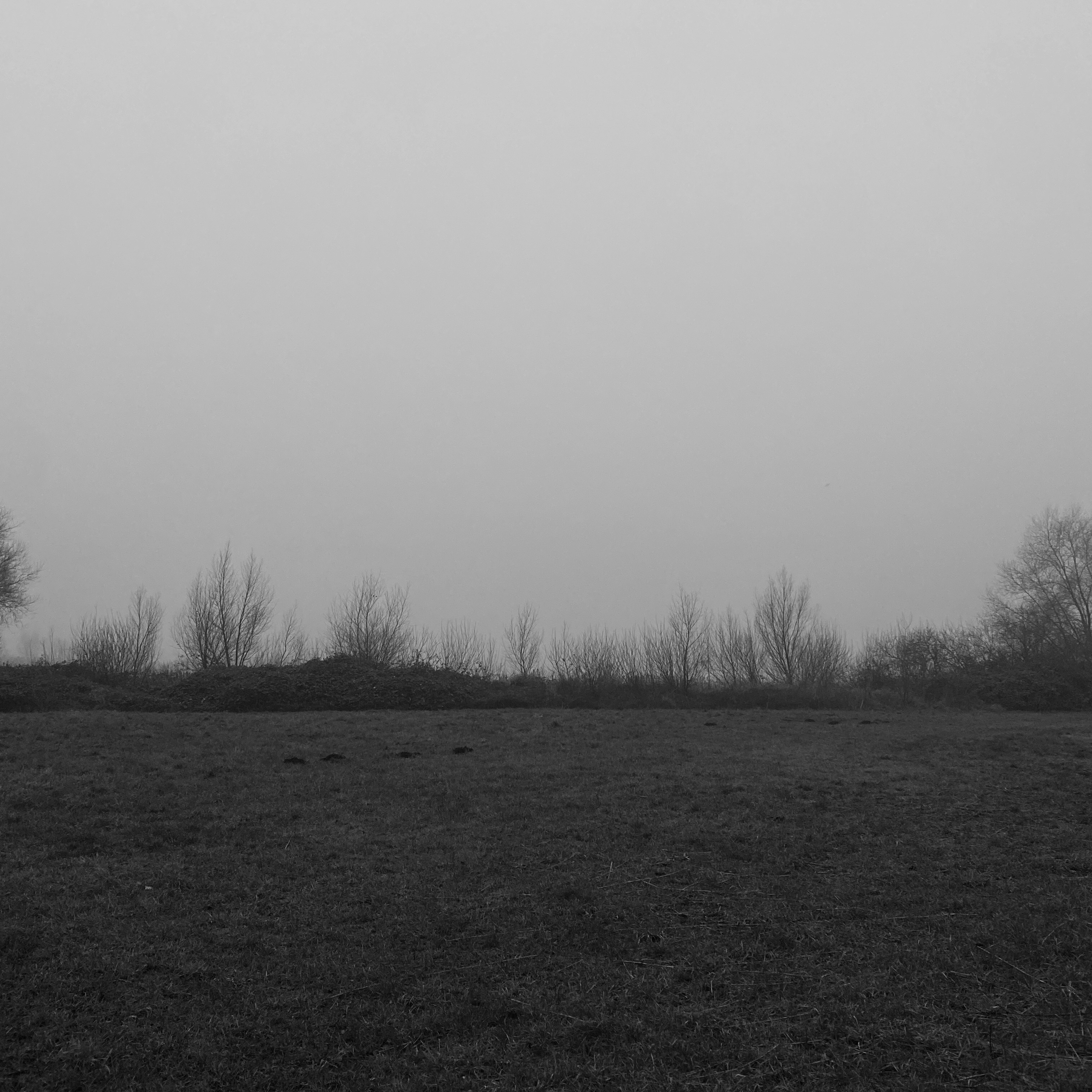 foggy Meerwijkplas landscape