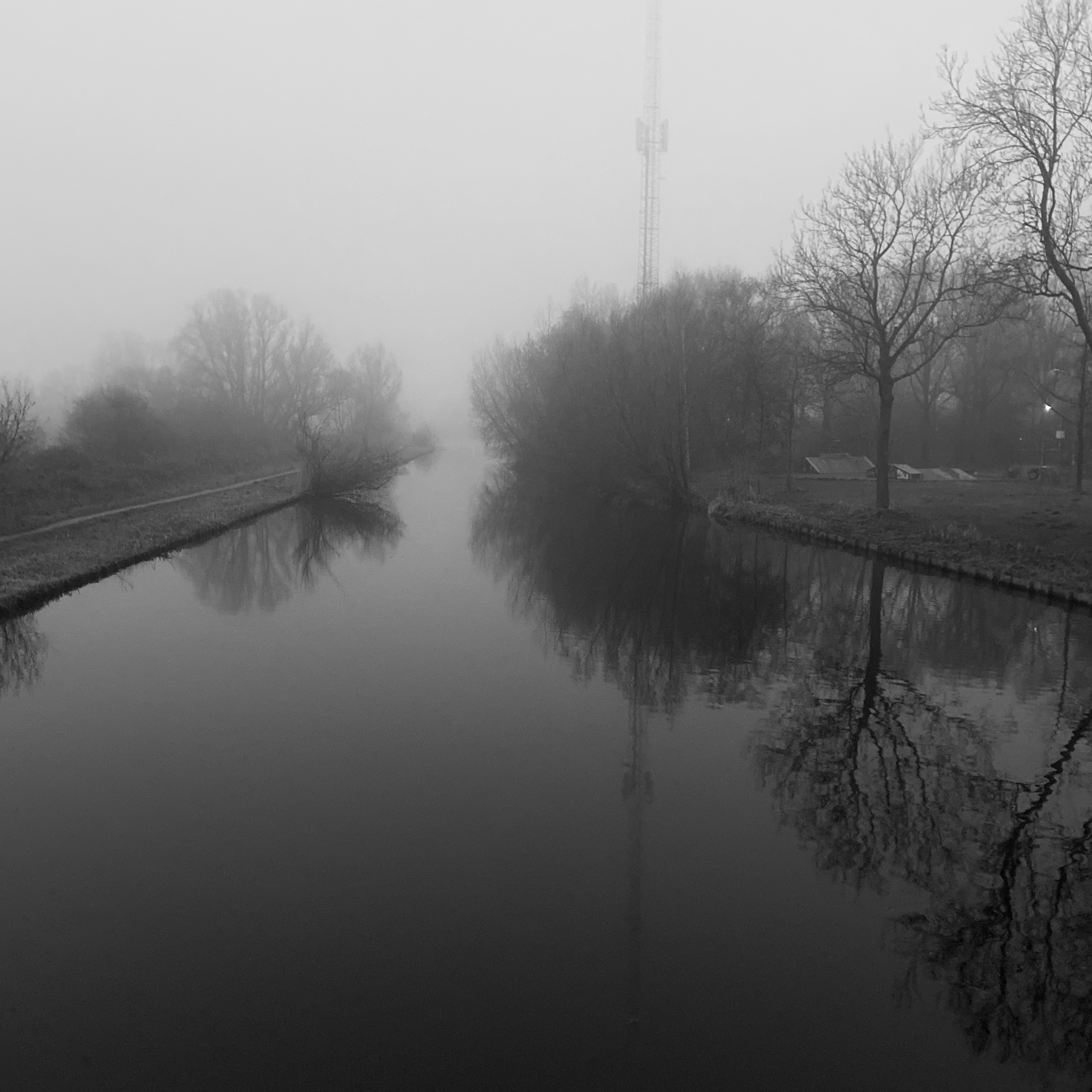 foggy Meerwijkplas landscape