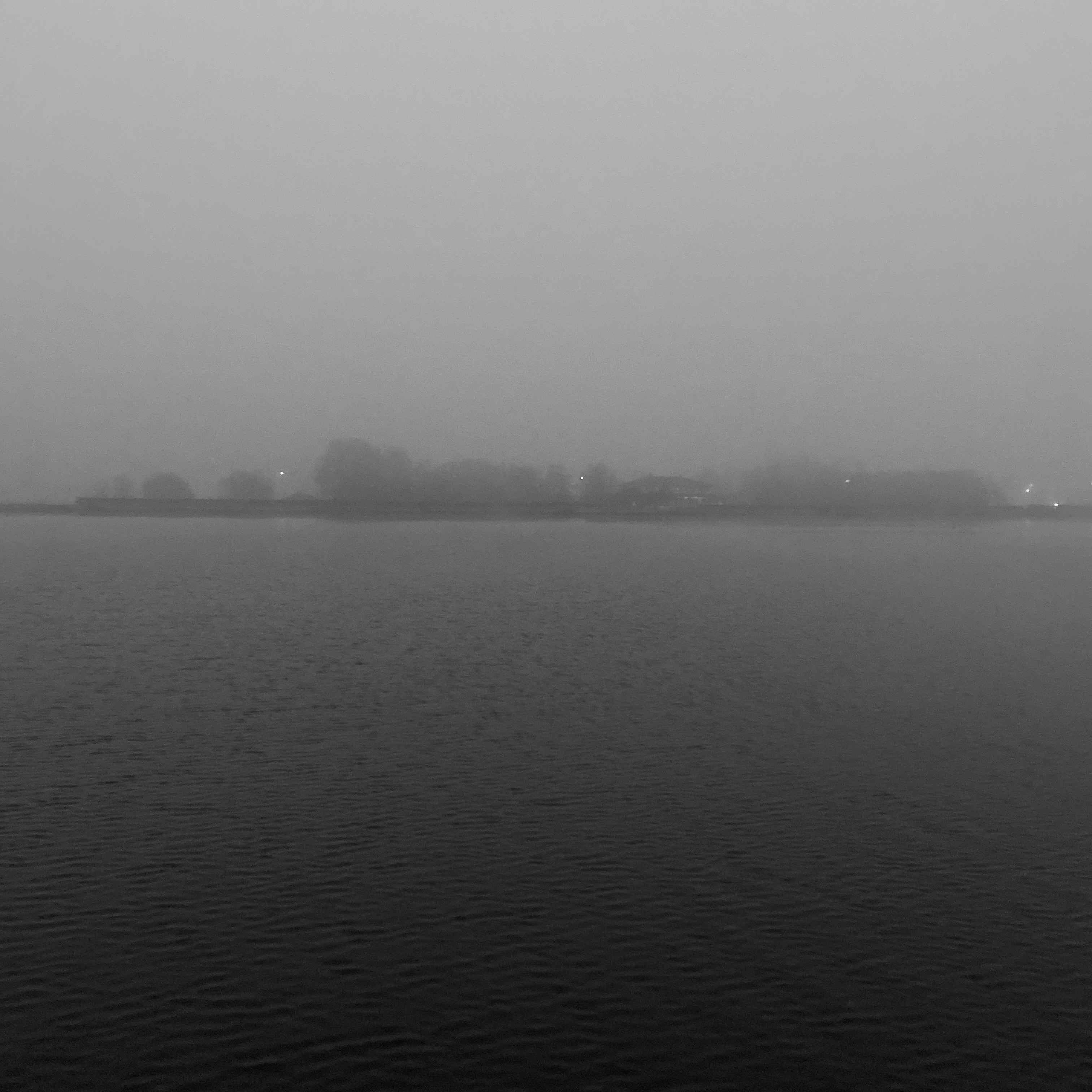 foggy Meerwijkplas landscape
