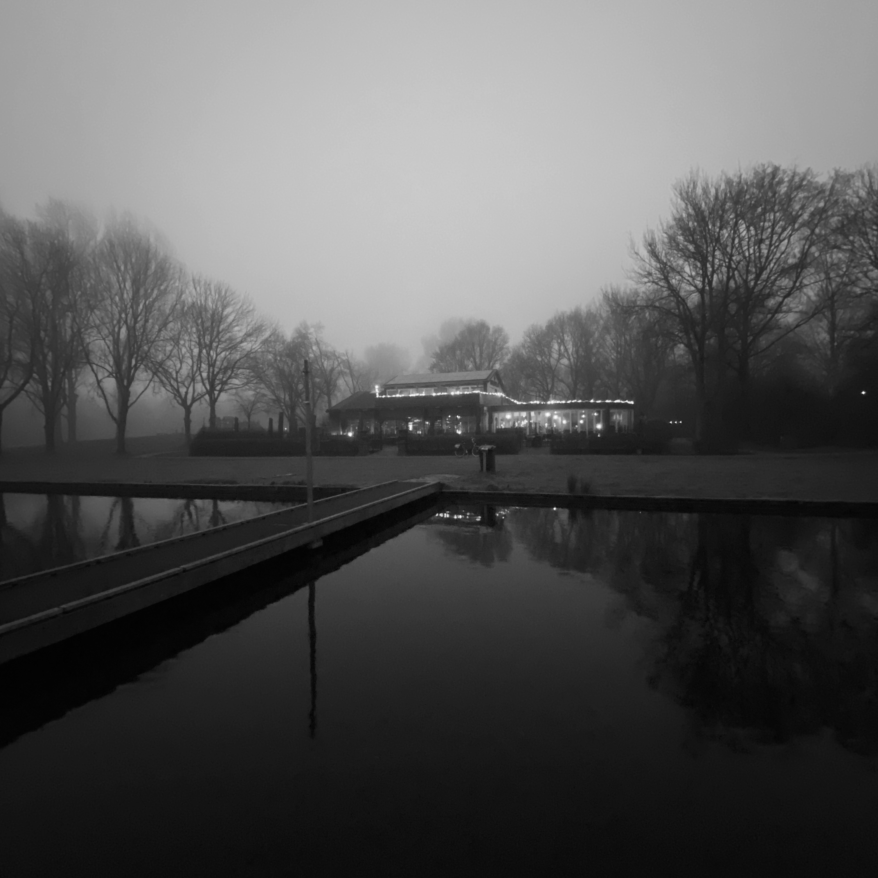 foggy Meerwijkplas landscape
