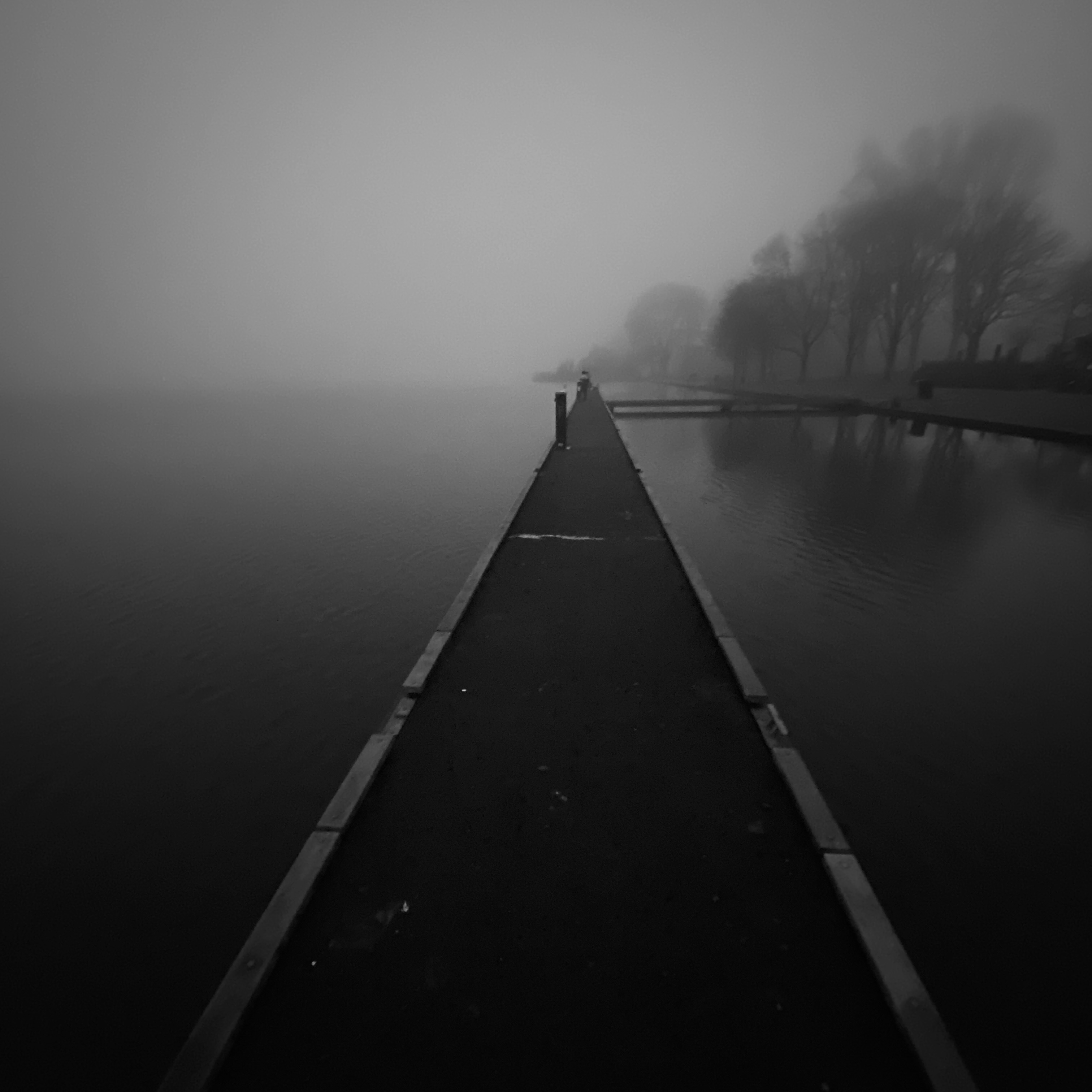 foggy Meerwijkplas landscape